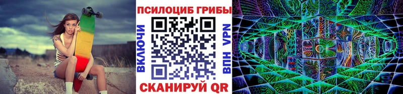 Псилоцибиновые грибы MAGIC MUSHROOMS  где продают наркотики  Талица 